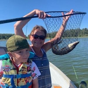 Meet your Posher, Jules